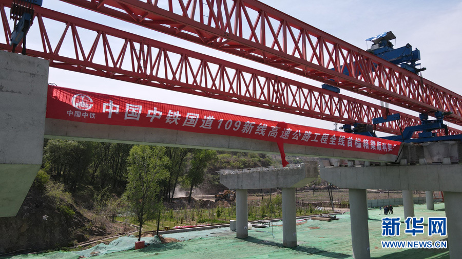  国王青年军崛起跻身西部前列  